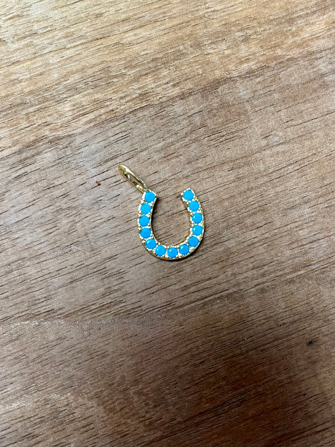 Lucky Horseshoe Charm