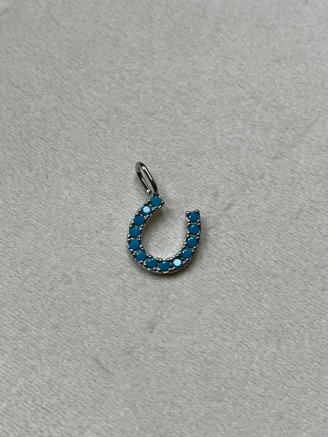 Lucky Horseshoe Charm