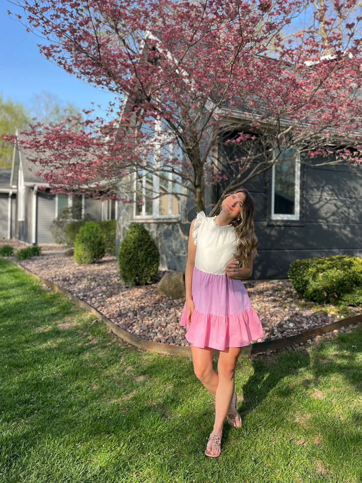 Stella Mini Dress