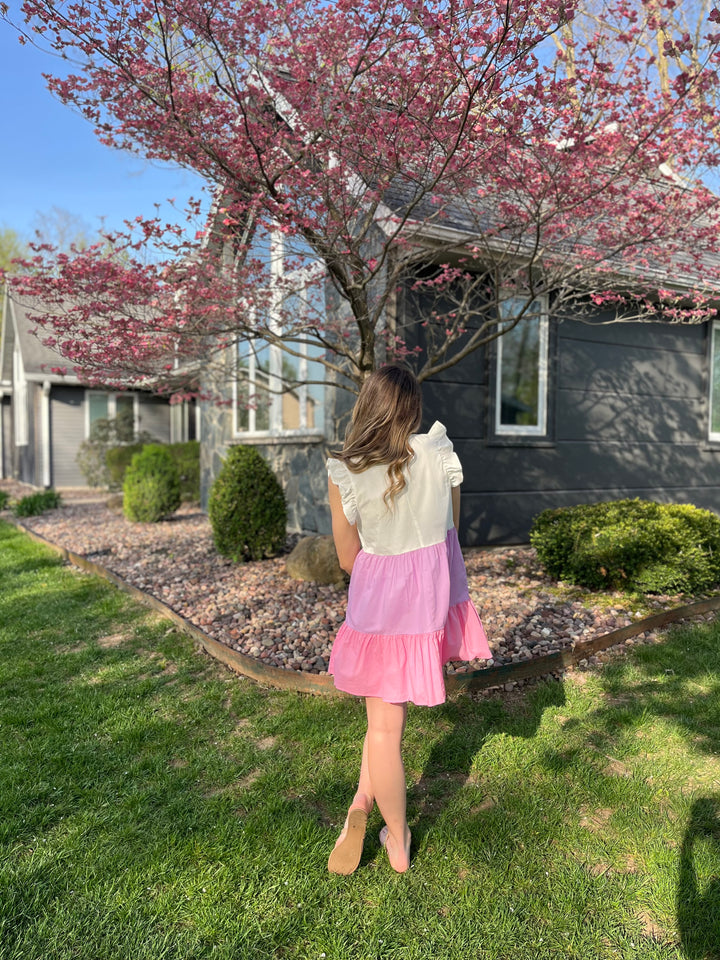 Stella Mini Dress