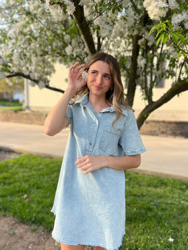 Chambray Charm Dress