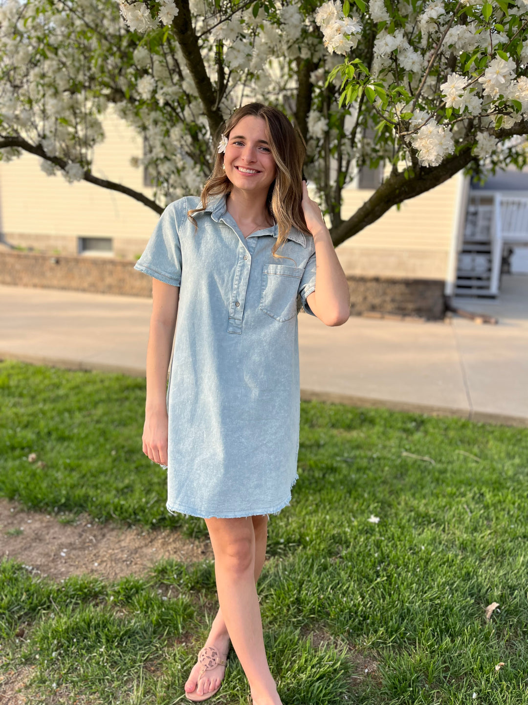 Chambray Charm Dress