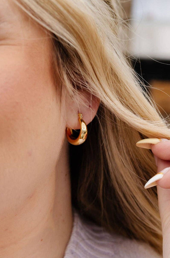 Horseshoe Hoops - Hypoallergenic